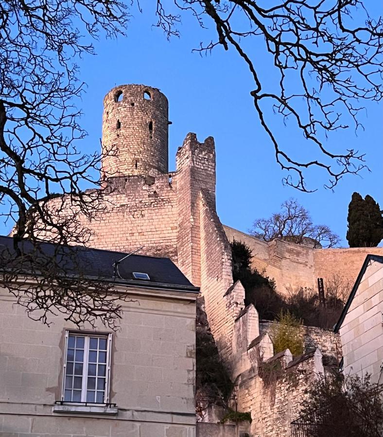 Apartment Le Rabelais, Superbe En Duplex, Proche Forteresse Et Monument Historique
