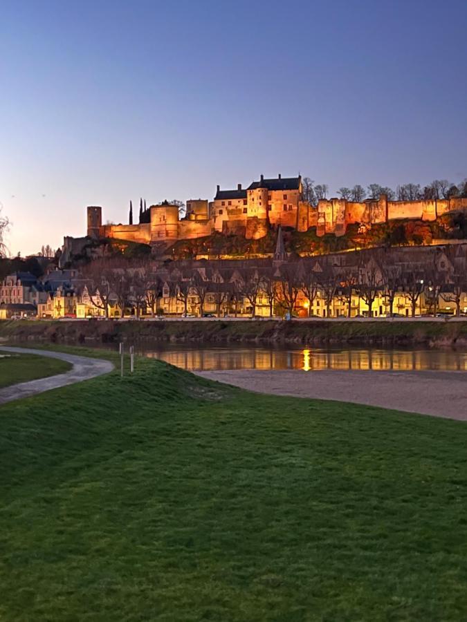 Apartment Le Rabelais, Superbe En Duplex, Proche Forteresse Et Monument Historique *